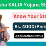 kalia yojana status