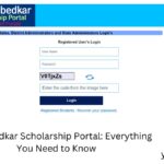 dr ambedkar scholarship portal