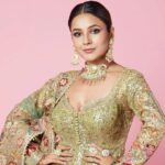 shehnaaz gill net worth