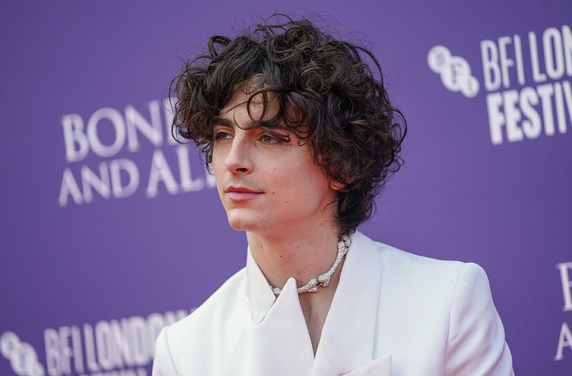 timothee chalamet net worth