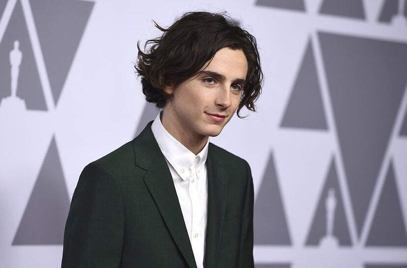 timothee chalamet net worth