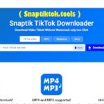 Snaptik