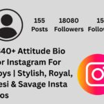 attitude bio for instagram