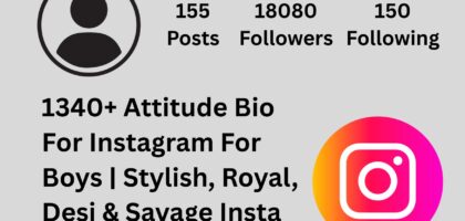 attitude bio for instagram