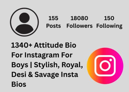 attitude bio for instagram