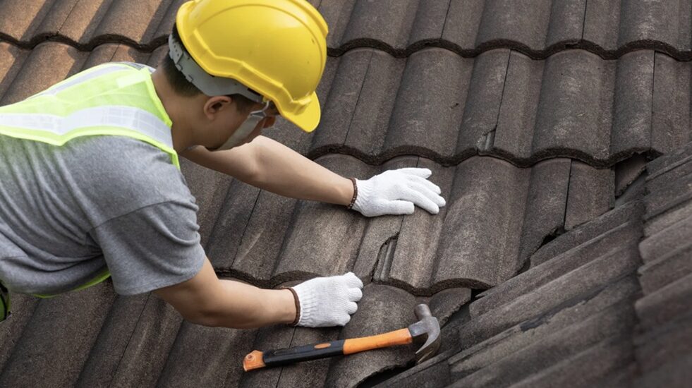Flat Roof Replacement in South West London: What Homeowners Need to Know Before It’s Too Late