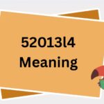 52013l4 meaning