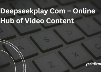 deepseekplay com