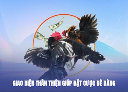 PUB88 Cockfighting – A Reliable Live Cockfighting Location