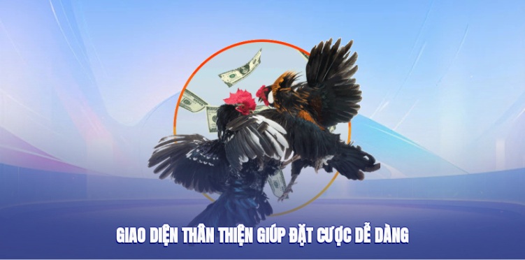 PUB88 Cockfighting – A Reliable Live Cockfighting Location