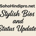 sohohindipro net