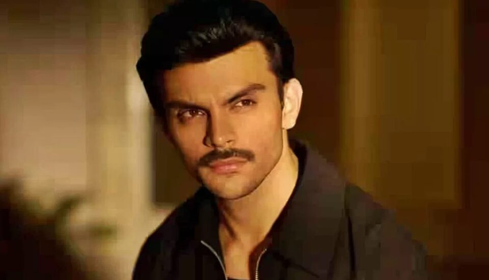 veer pahariya net worth