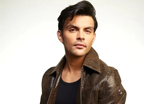 veer pahariya net worth