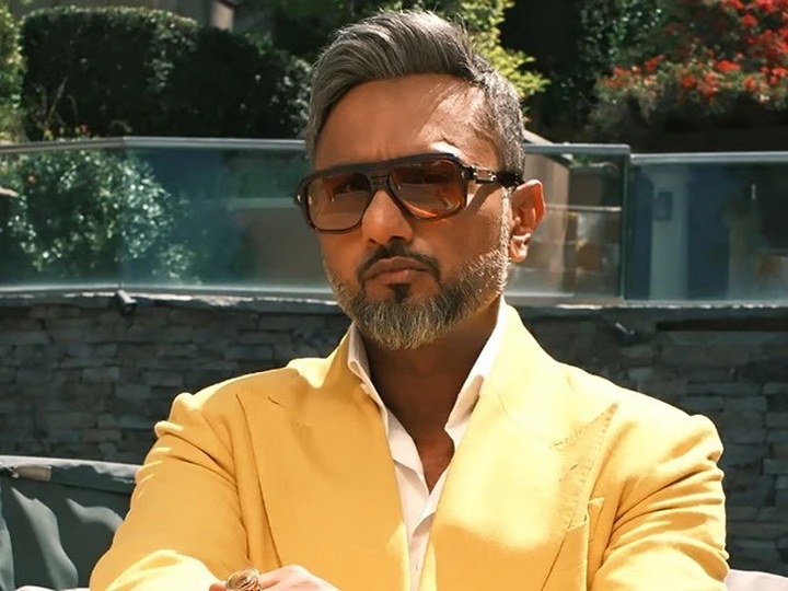 yo yo honey singh net worth