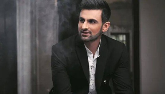 shoaib malik net worth