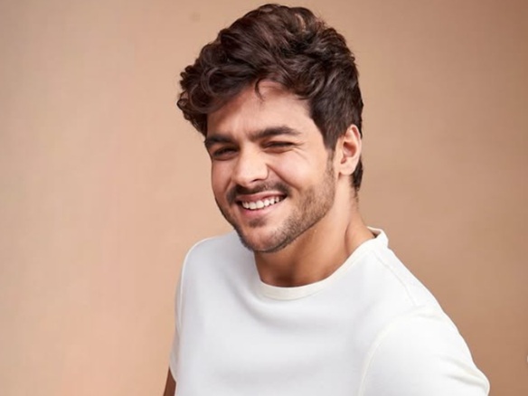 ashish chanchlani net worth