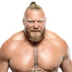brock lesnar net worth