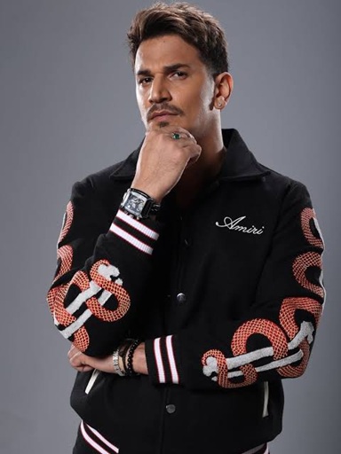 prince narula net worth