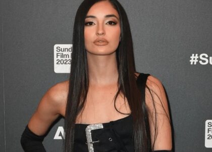 emily willis net worth