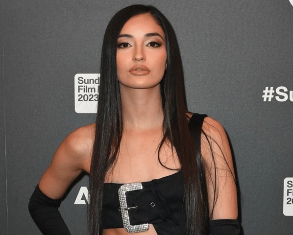 emily willis net worth