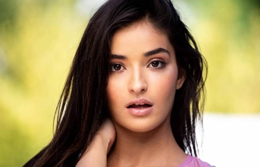 emily willis net worth