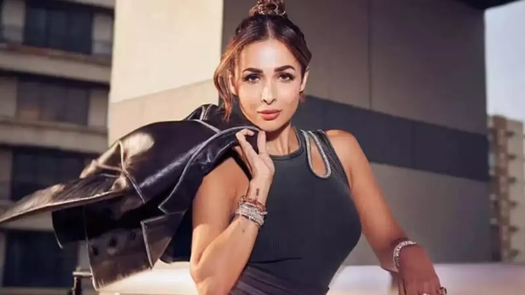 malaika arora net worth