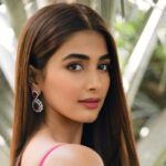 pooja hegde net worth
