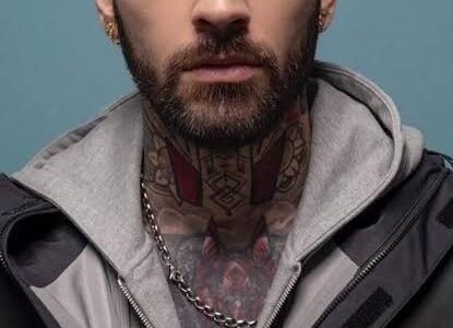 zayn malik net worth
