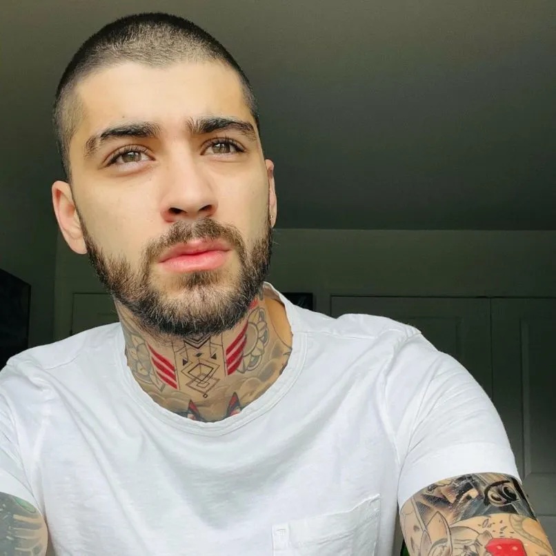 zayn malik net worth