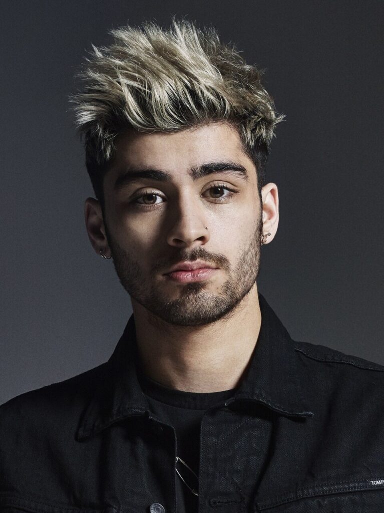 zayn malik net worth