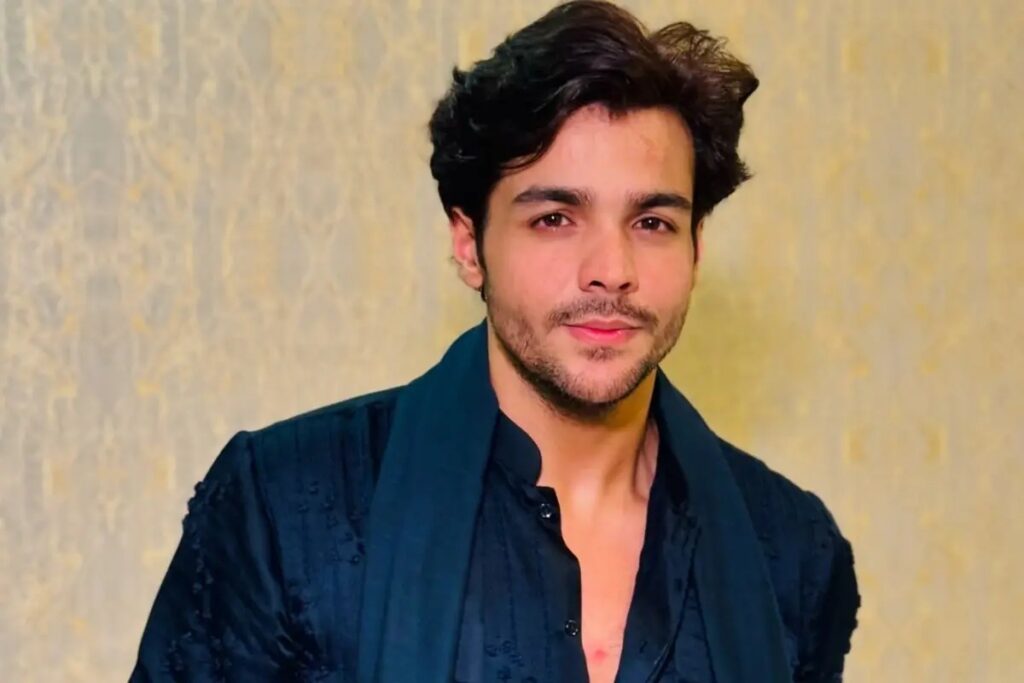 ashish chanchlani net worth in rupees