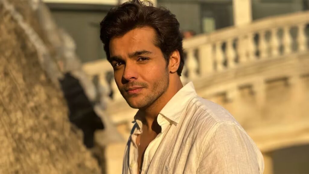 ashish chanchlani net worth in rupees