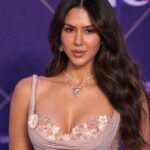 sonam bajwa net worth